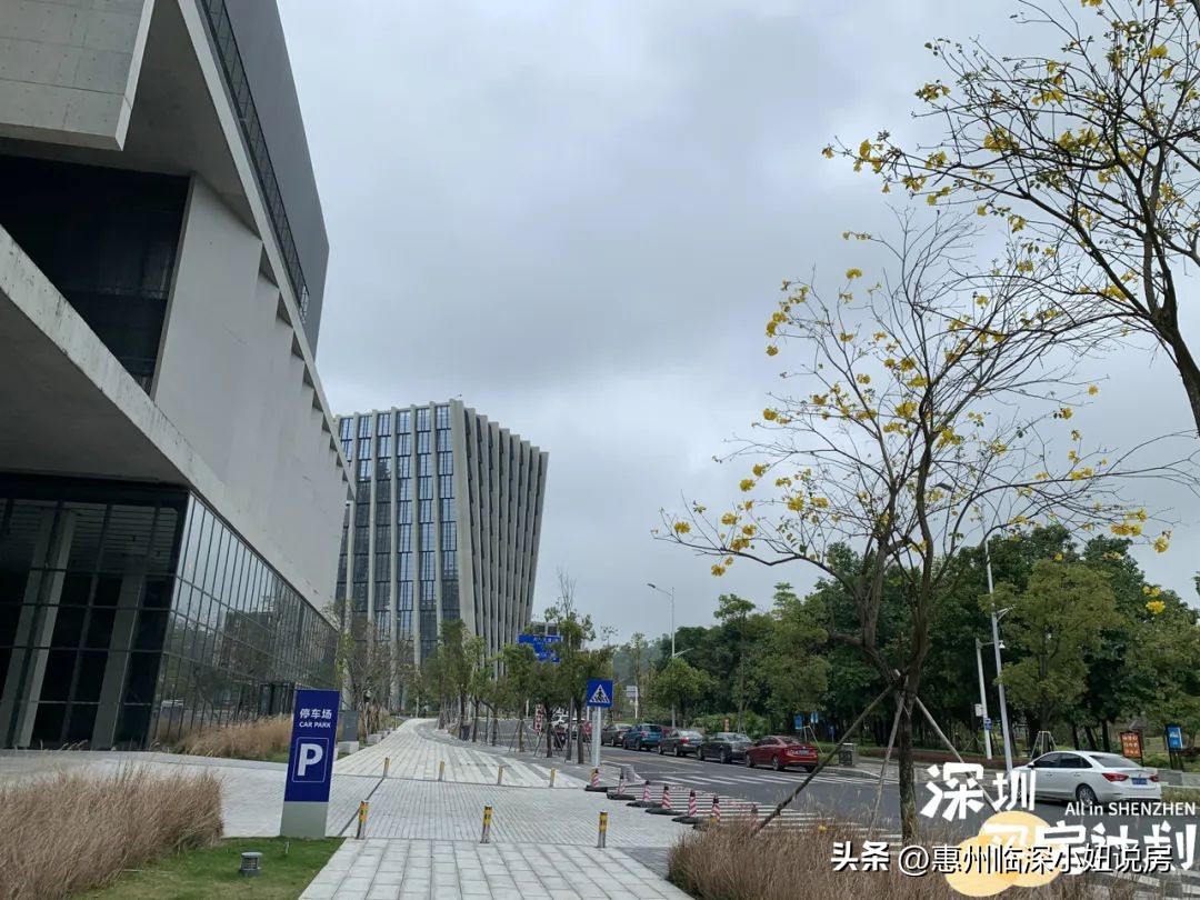 福田上班买坪山房子,深圳福田上班感受