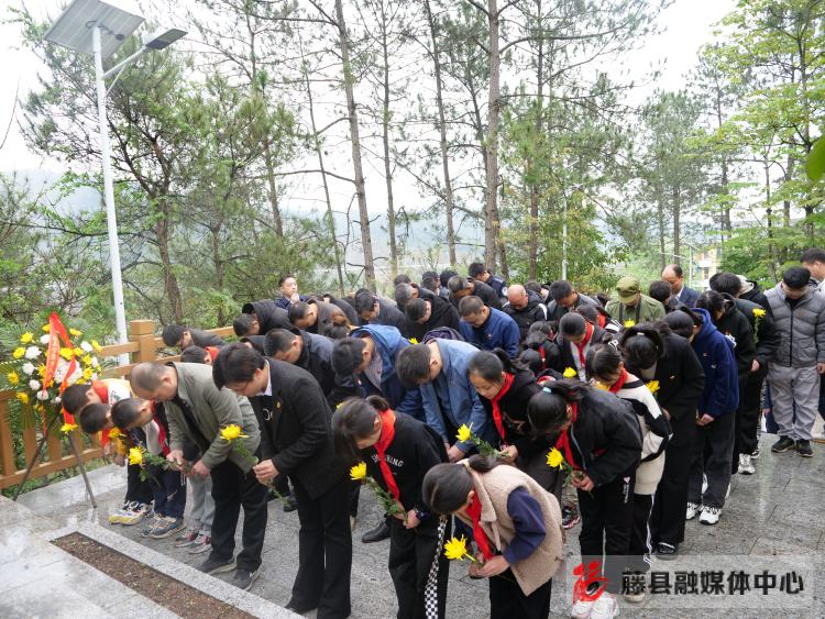 全县清明节纪念烈士陵园活动方案,清明节祭扫烈士墓园美篇