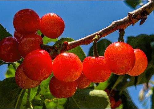 企地共谋发展,企地合作融合发展发言材料
