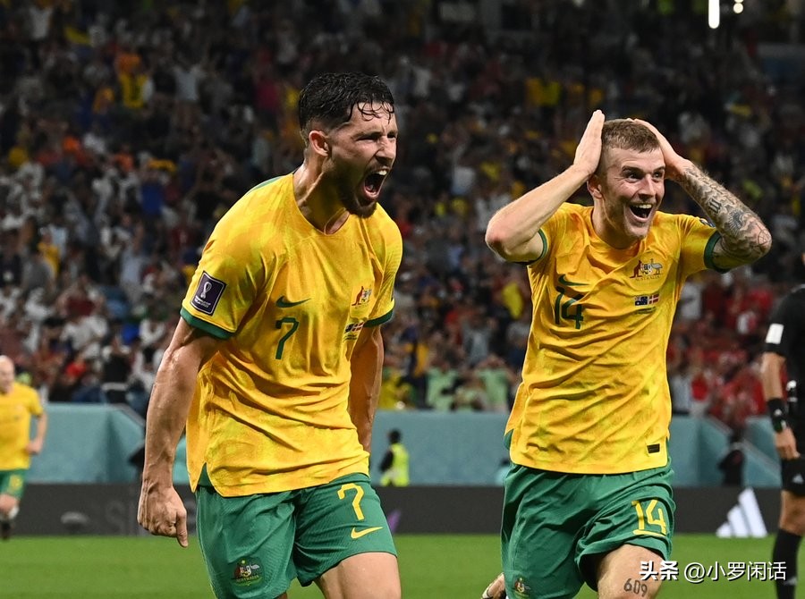 世界杯32支球队全家福,世界杯集锦24