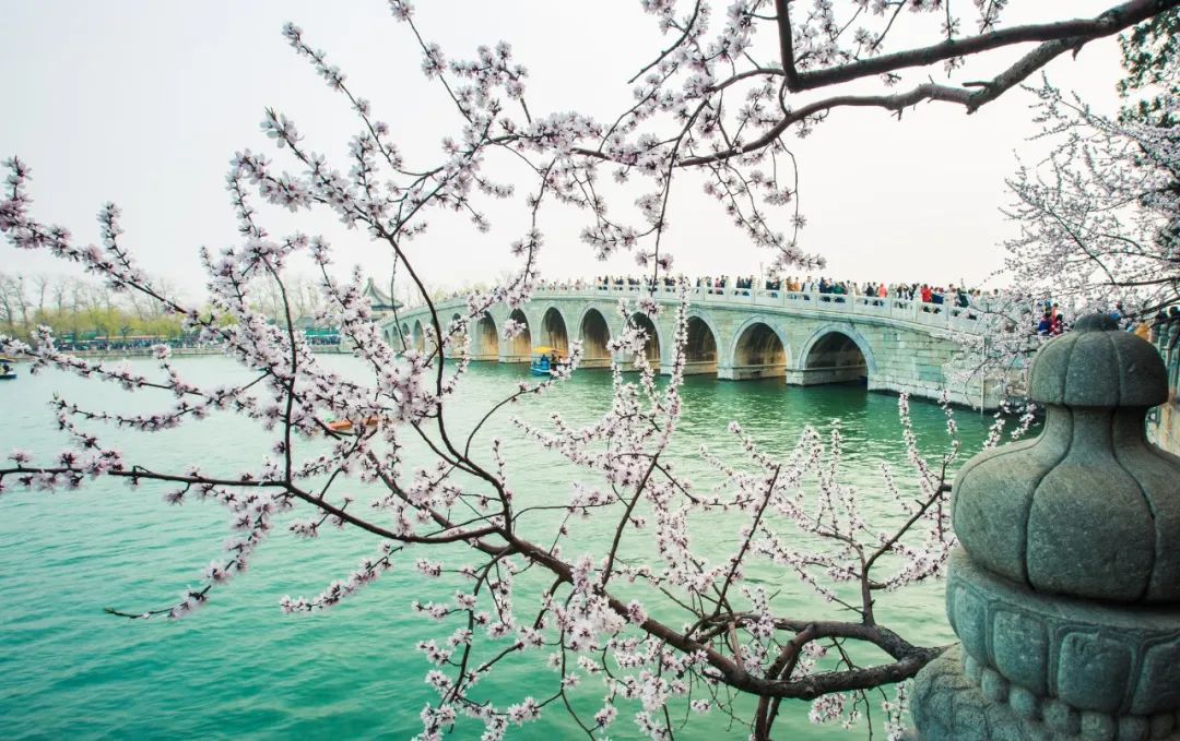 最好的十首唐诗,唐诗中最唯美的四字诗句