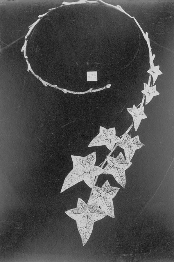 国民女神衣服,国民女神收藏