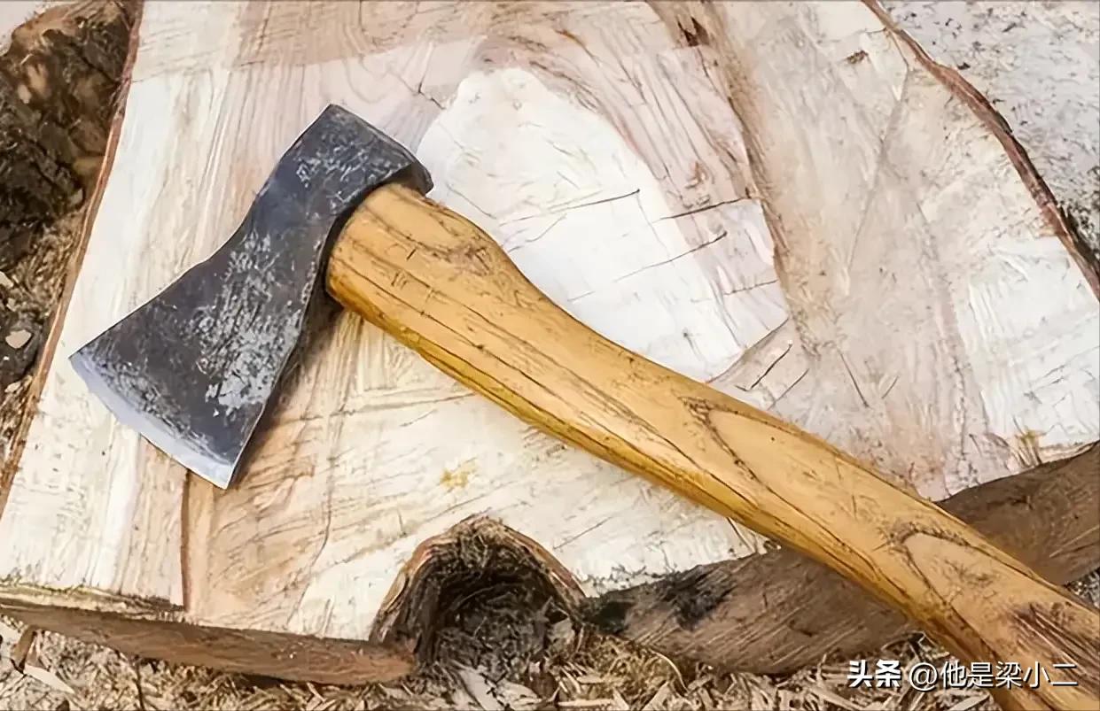 女博士拒绝弟弟购房,山东女博士被父亲砍死真实事件