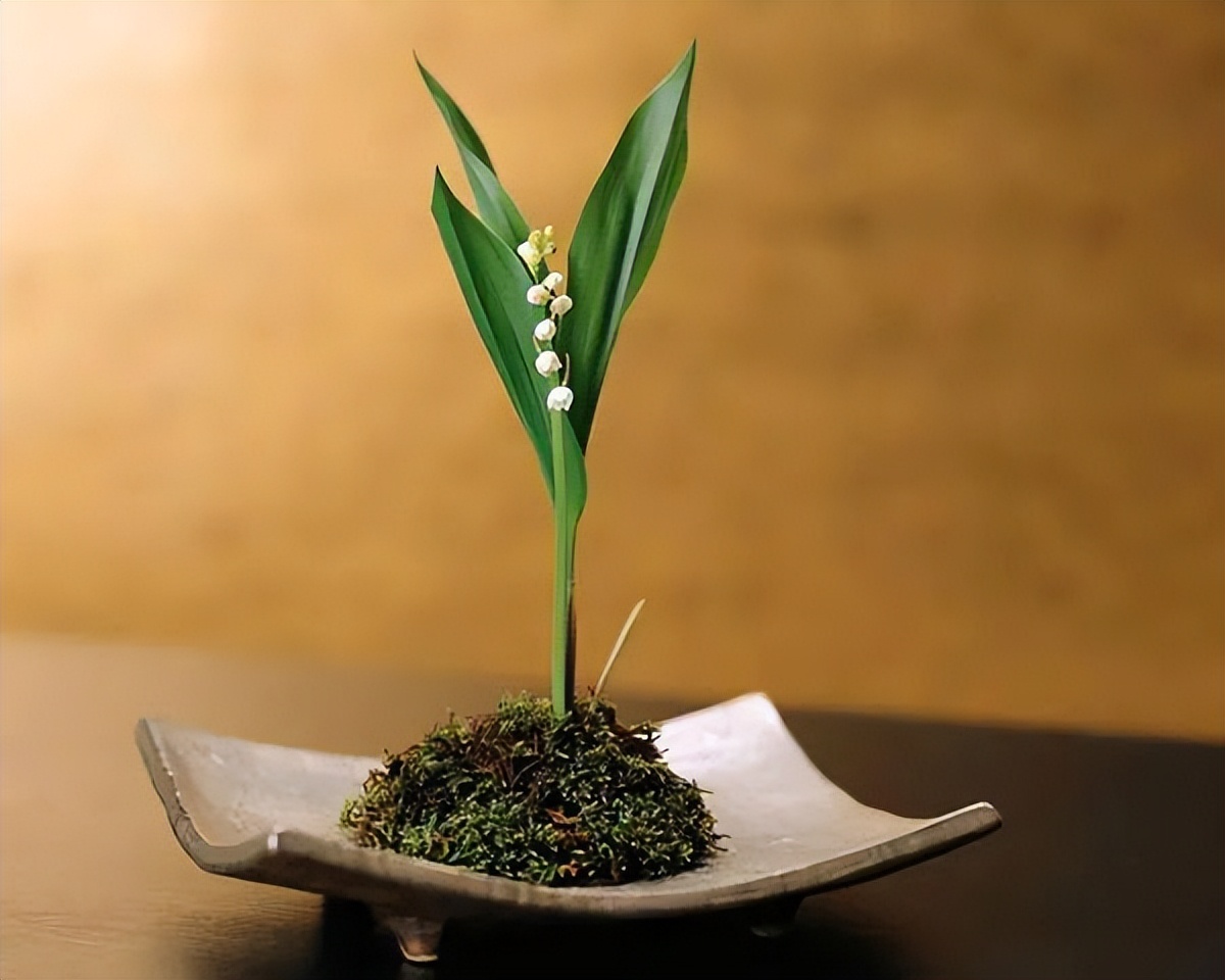 日式插花技法,日式插花的特色及技巧