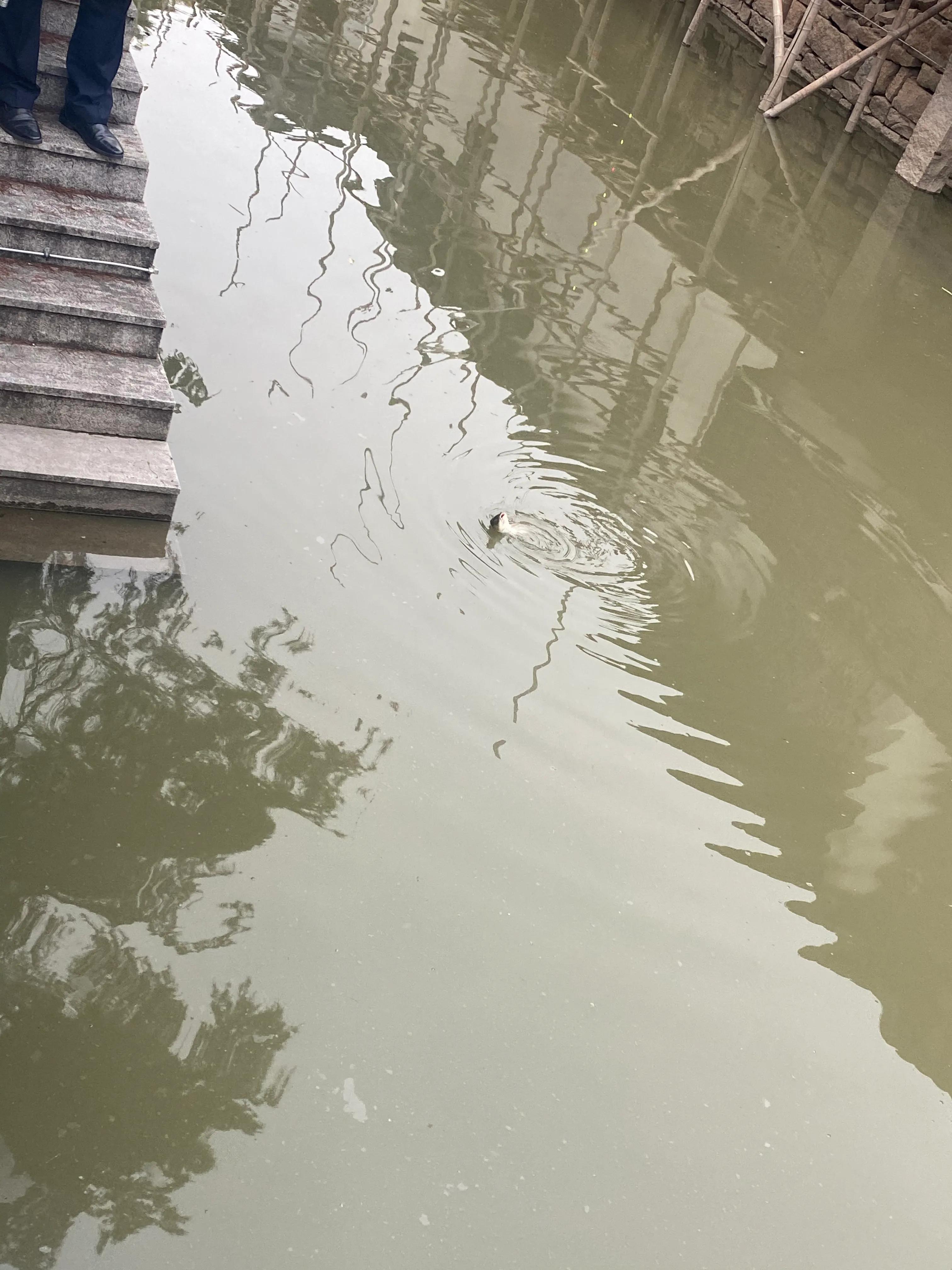 徒步318川藏线日记,徒步灵岩山日记