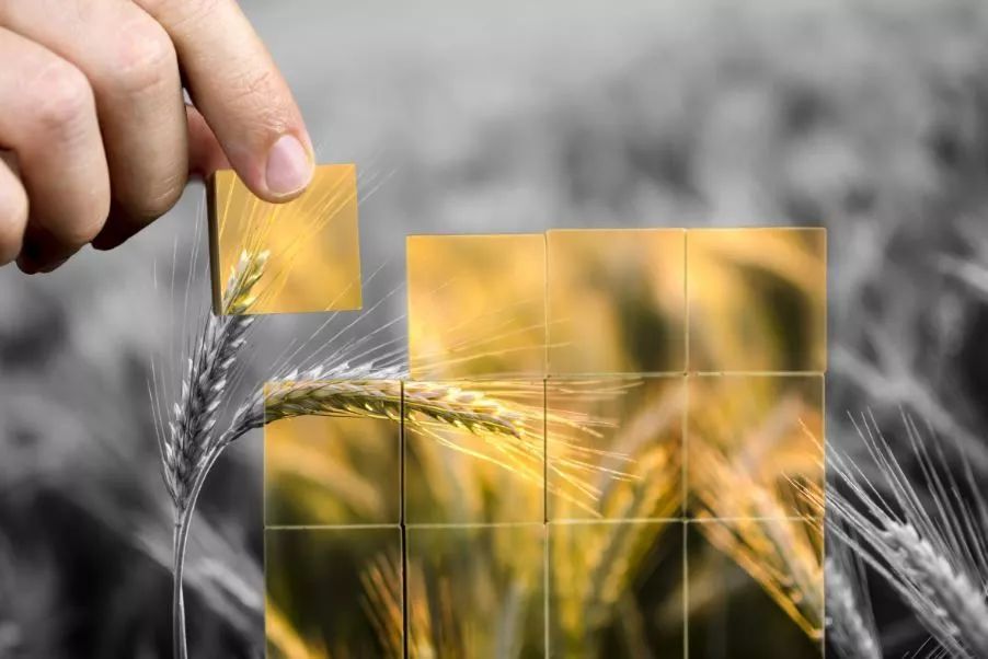 国诚投顾六脉神剑怎么样,国诚投顾用什么软件