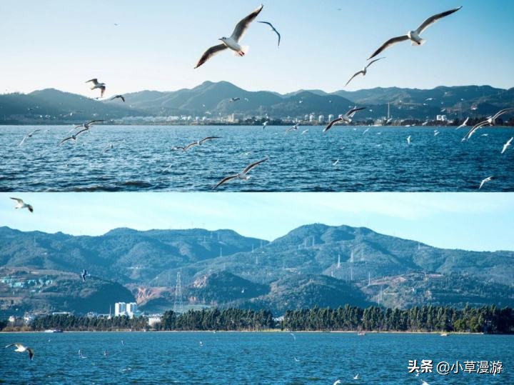 云南弥勒市旅游最该去必去景点,到云南昆明旅游必去的景点有哪些