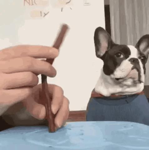 外卖小哥的搞笑事件盘点,外卖员搞笑问题