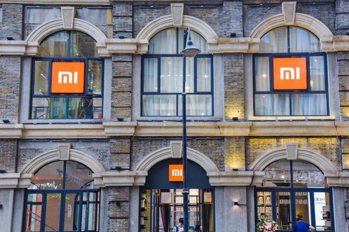 苹果遮羞布被撕碎,苹果遮羞布