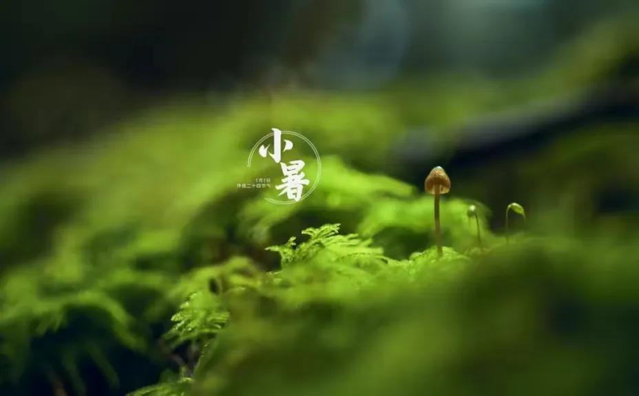 小暑节气最美问候图片,小暑节气早安问候图片