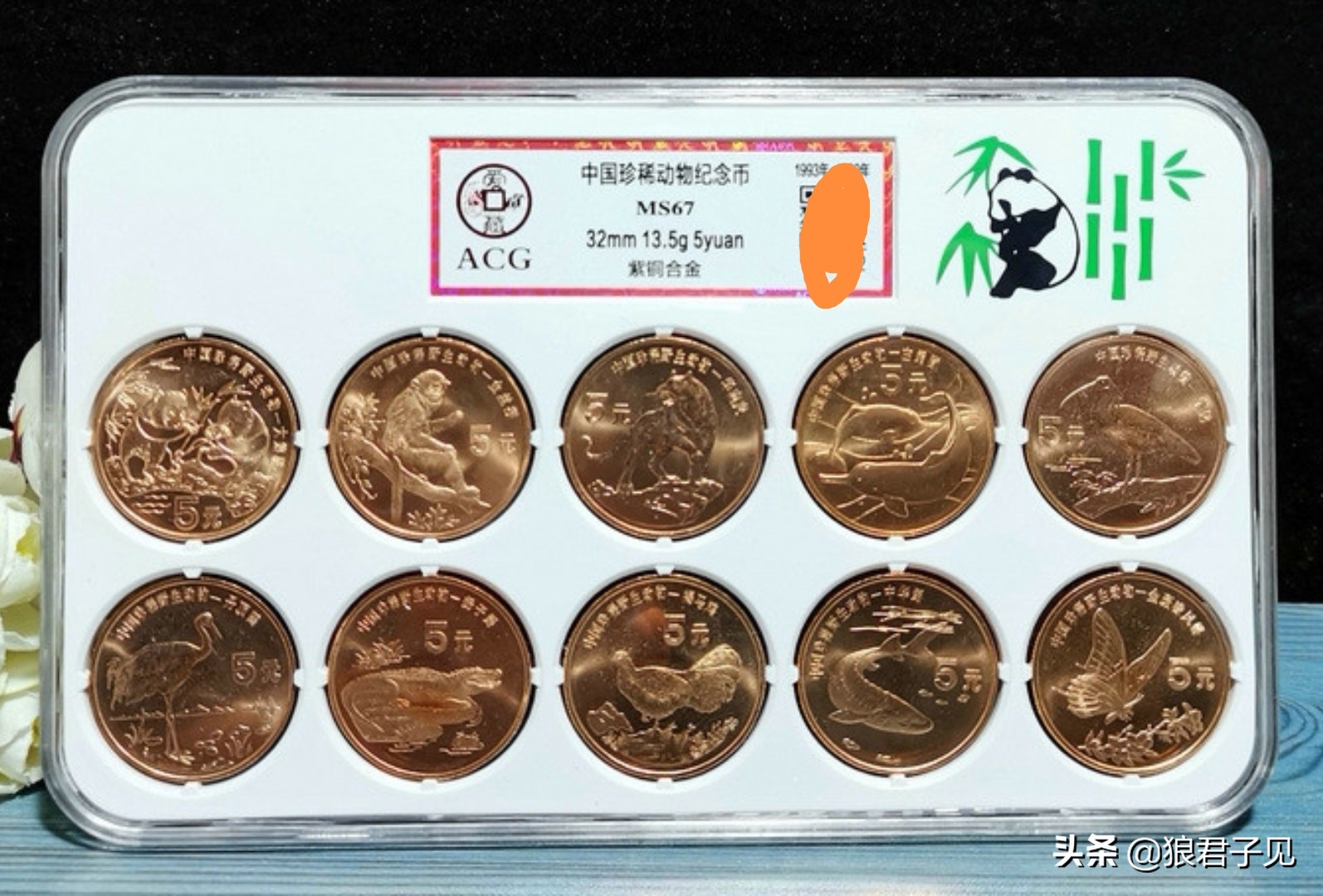 想收藏古钱币基础知识先学好,想收藏银元去哪弄