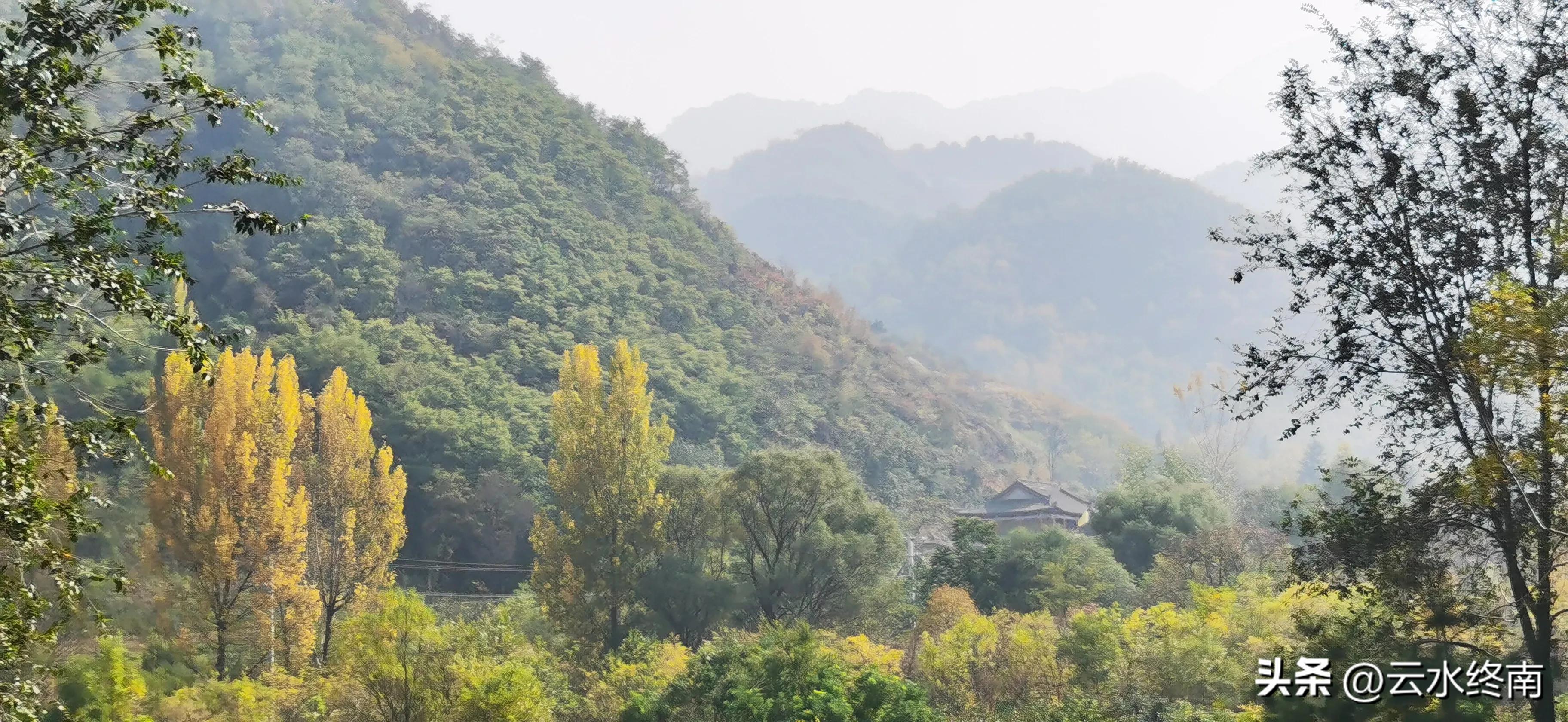 享个清福！到少有人知的峙峪看看漫山红叶，喝喝住山人清茶