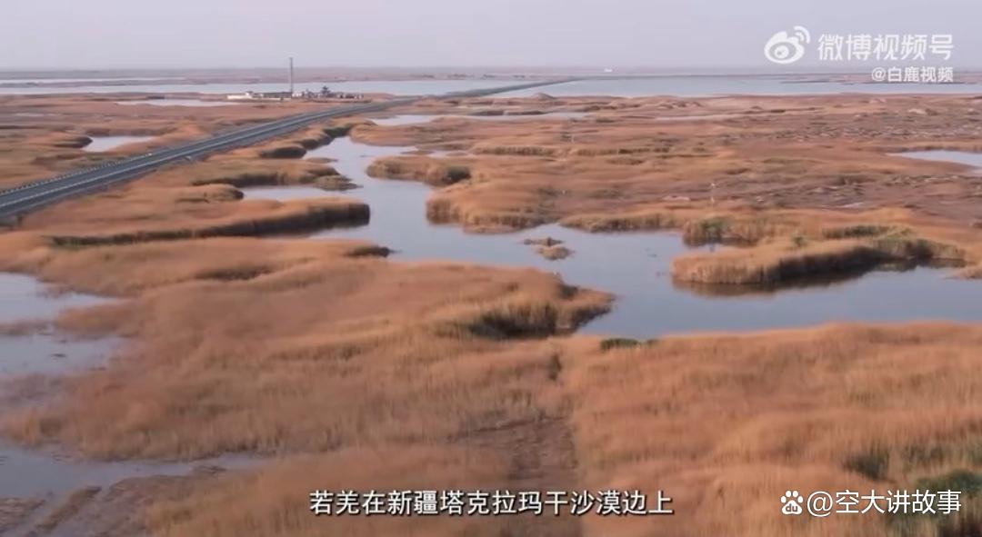 宝妈在塔克拉玛干沙漠边缘送奶茶，月入7000元实现事业与家庭平衡