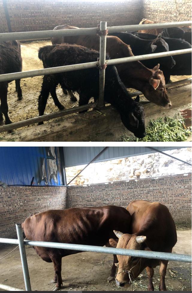 大唐华银光伏发电项目,大唐华银攸县光伏