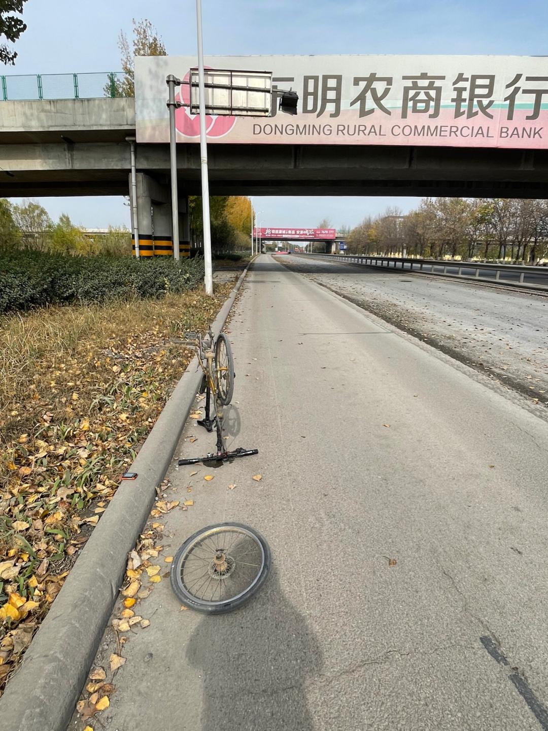 董董骑行山东,懂懂骑山东