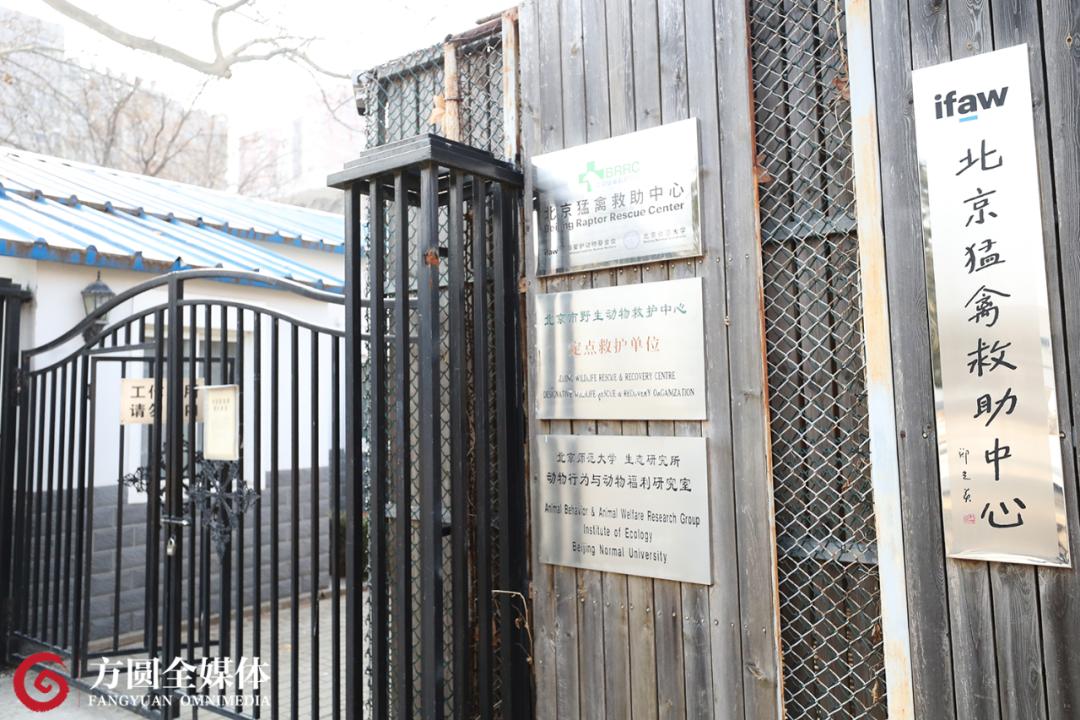 康复治疗师的职业要求,猛禽康复师