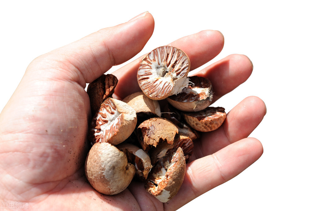 槟榔危害性有多大安全性又有多大,槟榔危害到底多可怕