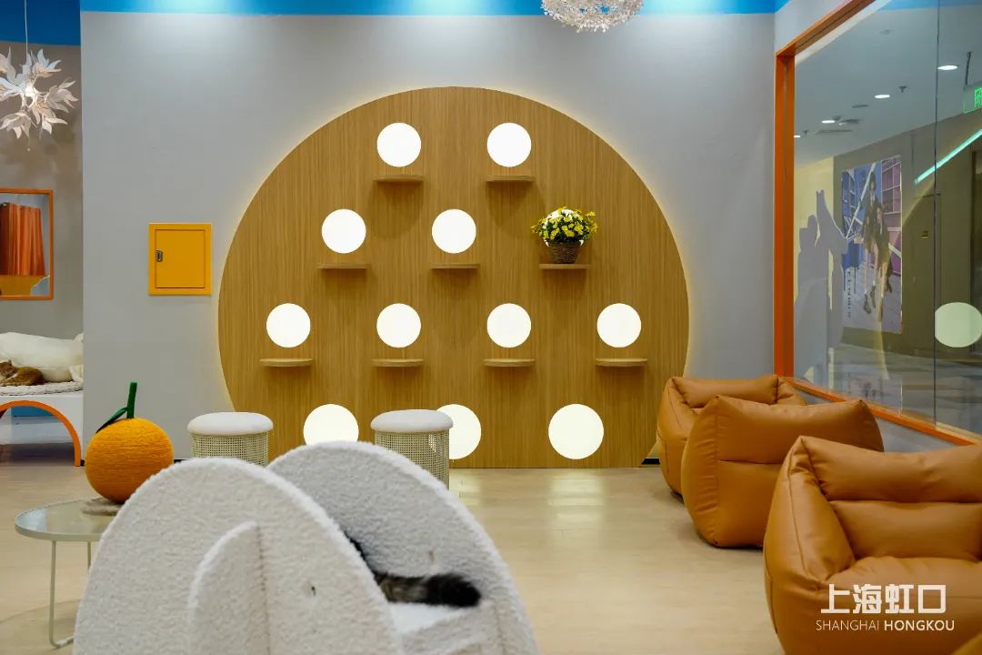 狗道宠物上海嘉定店,狗道宠物百联南方店