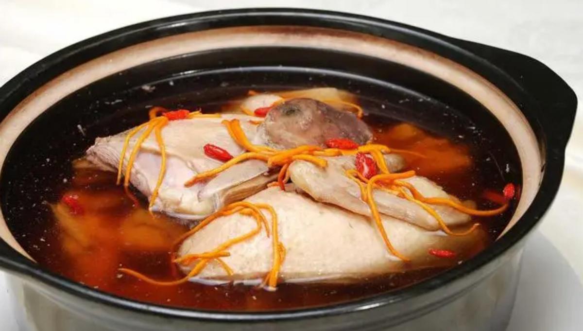 吃野生斑鸠其实对人有害？连筑巢都不会的斑鸠，究竟如何繁殖的？