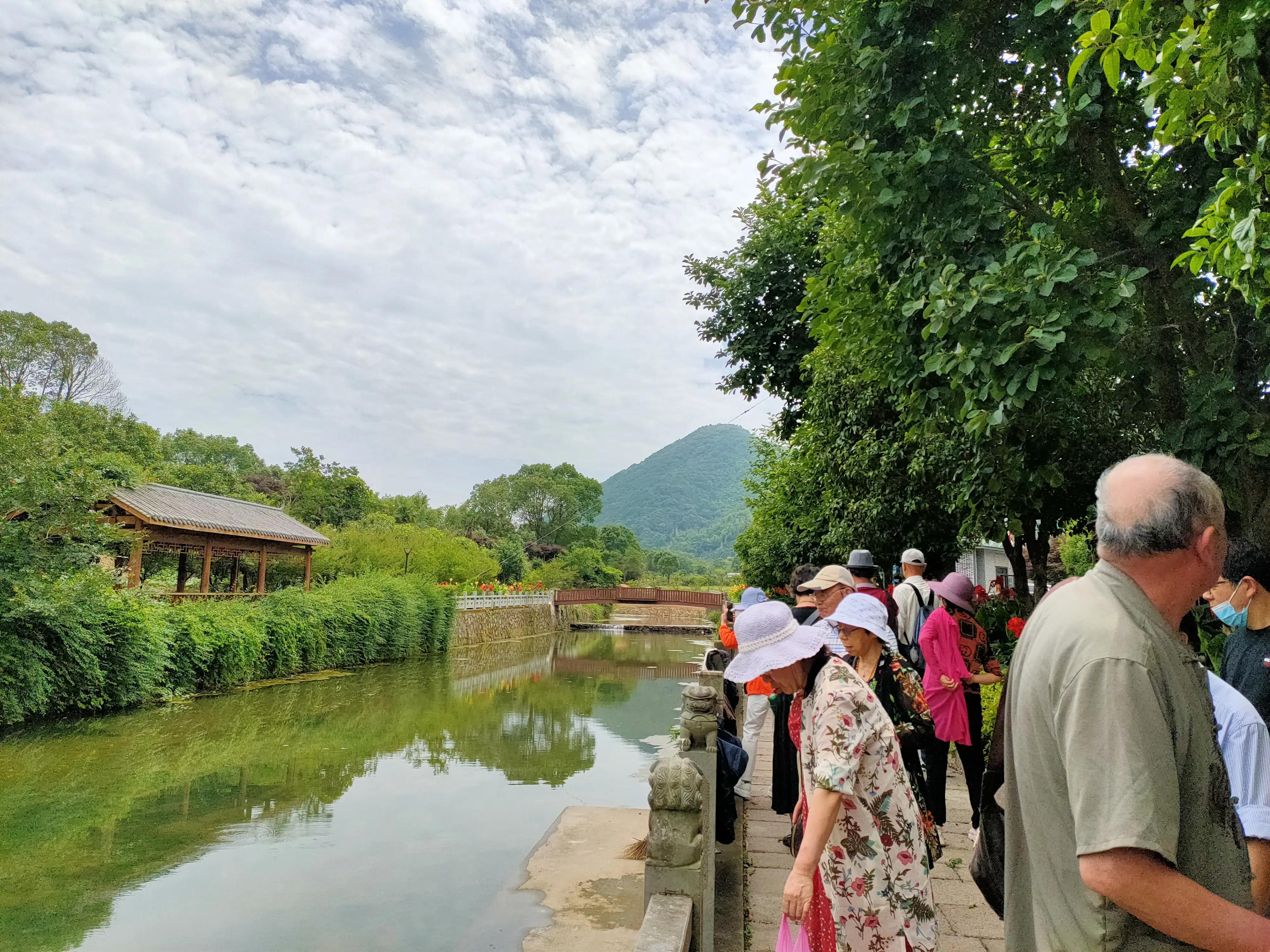 梦溪酒是这样酿成的－－知青之家“奉化裘村”一日游小记