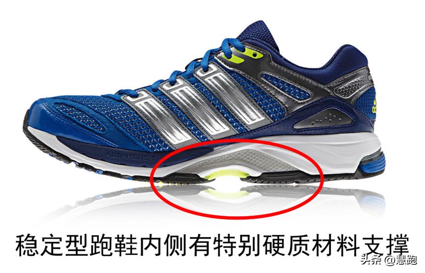 运动生理学测试实验报告,运动生物力学实验室纪录片