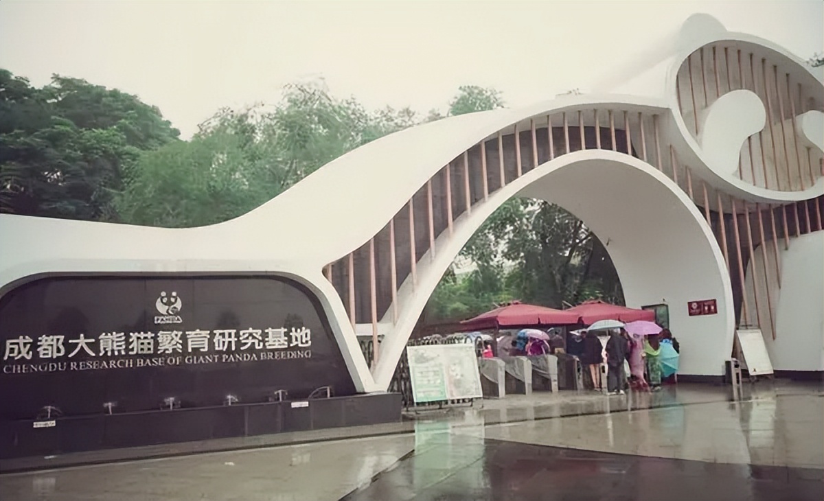 成都到青岛自驾游住宿攻略,成都旅游住宿攻略及费用