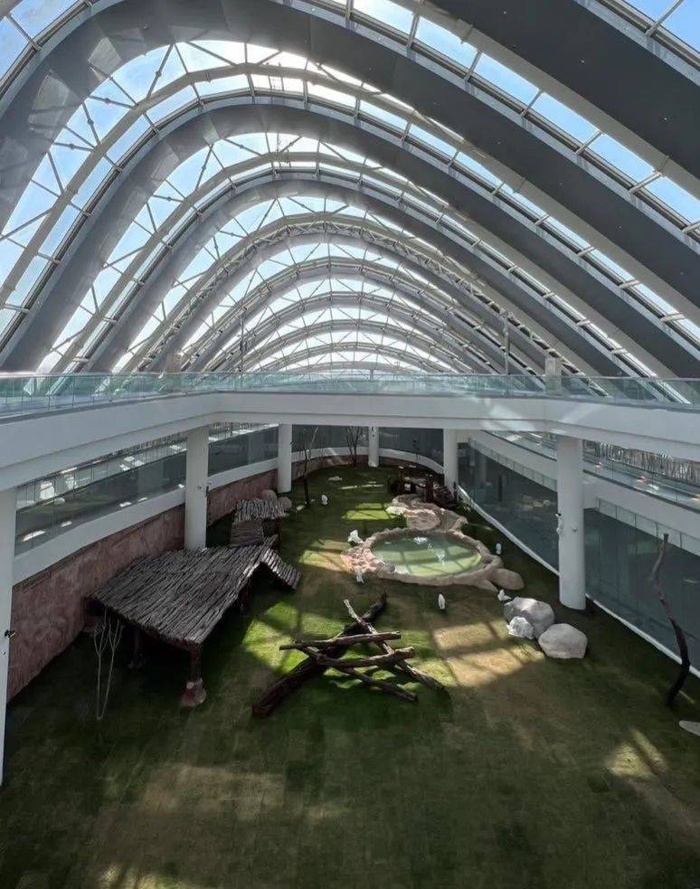 卡塔尔世界杯投入2000亿谁赚了,卡塔尔为世界杯花费多少钱