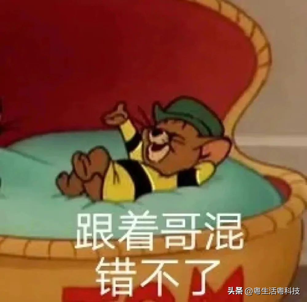 iphone国行港版美版如何选择,全新iphone国行和港版