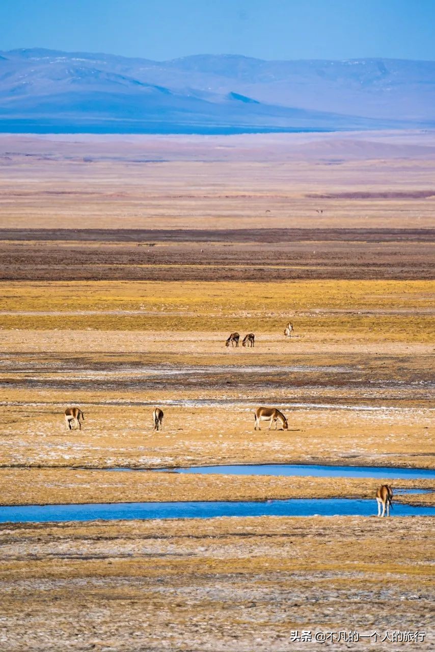走遍中国最美城市,走遍中国最美的路