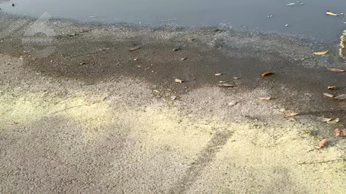 昆明春暖花开解锁春日美景好去处,春暖花开踏青好去处