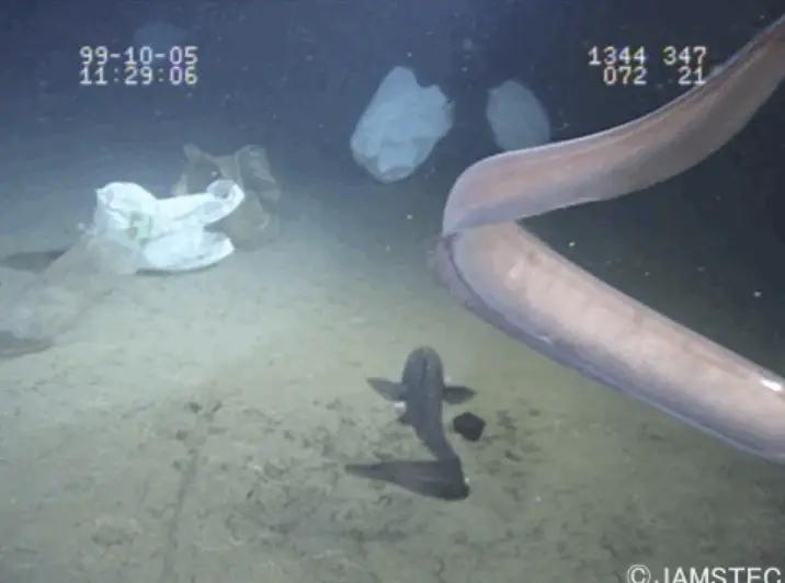 100+深度学习开源数据集分类汇总