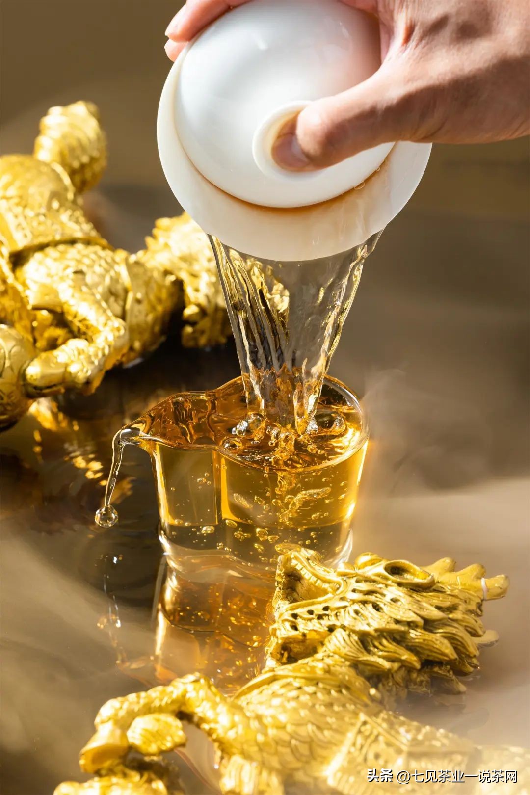 普洱茶老料新压什么意思,普洱茶友喝茶视频