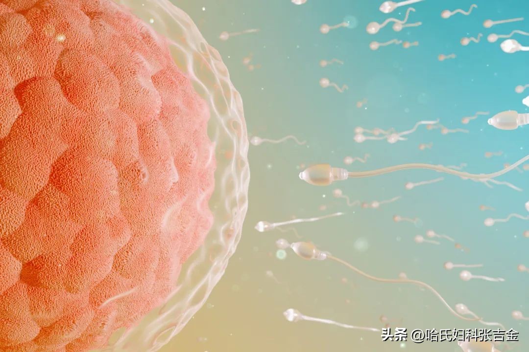 备孕很久了一直怀不上怎么回事,备孕半年怀不上需要做哪些检查