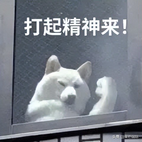 重磅！香港入境处推行电子签证！这份申请攻略速速收下