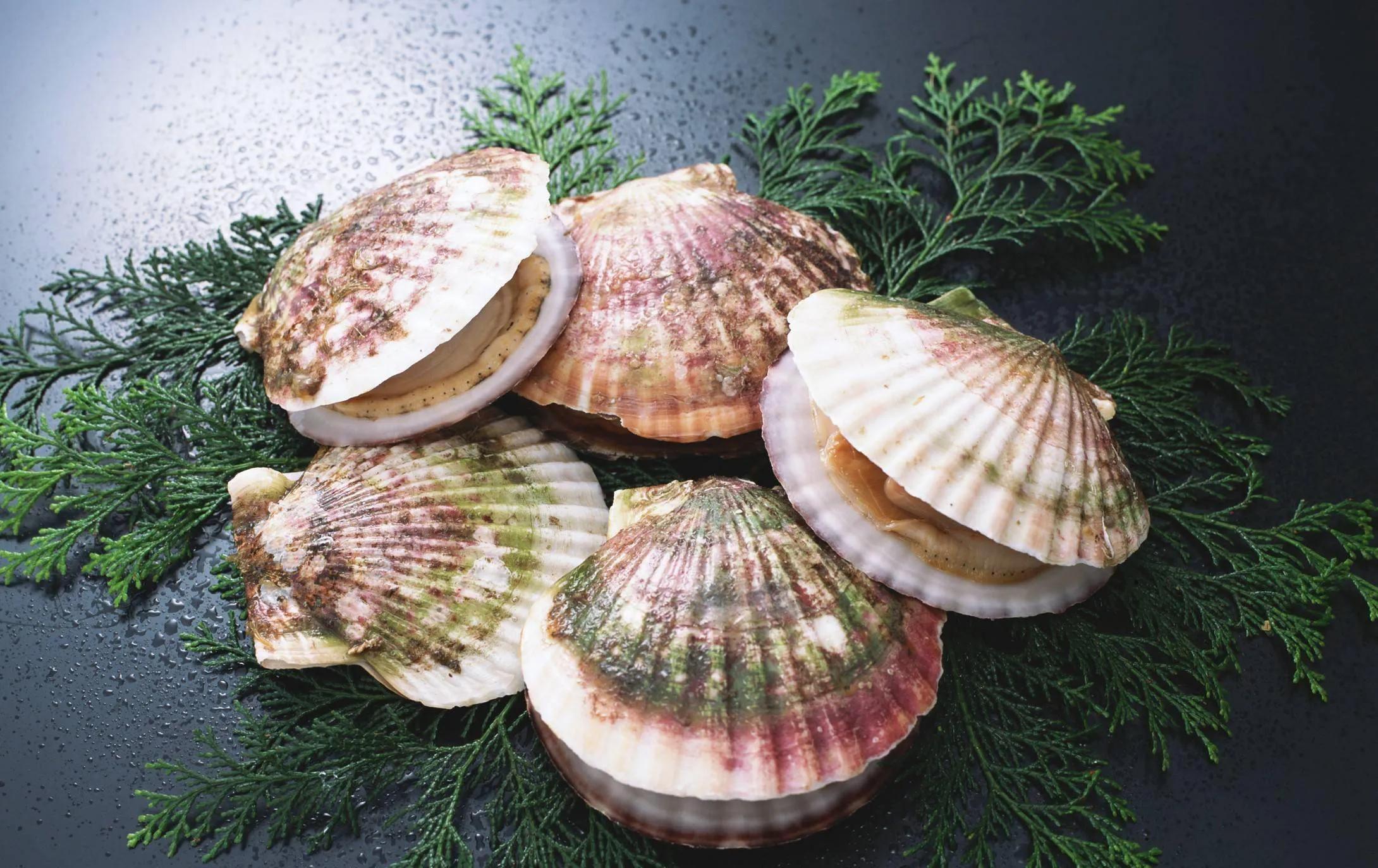 15种海鲜的经典吃法及价格,常见的海鲜正确吃法大全