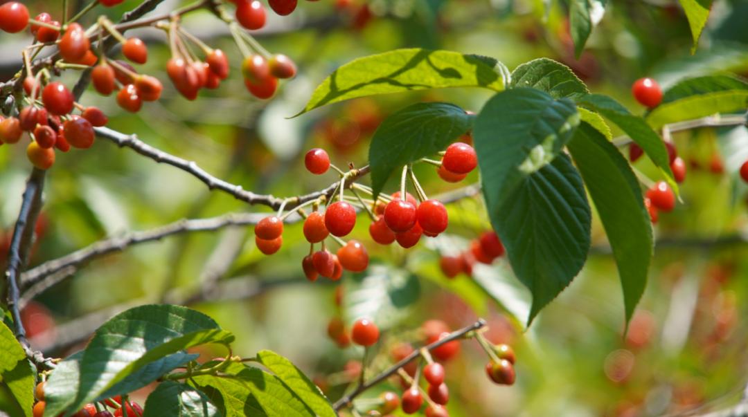 海边城市吃海鲜推荐,海边适合吃海鲜的小众城市