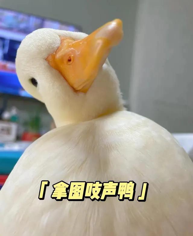 文字壁纸超清合集大全,保持清醒文字壁纸