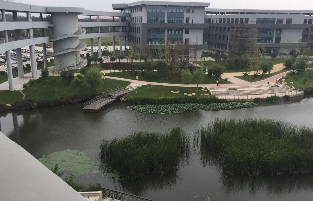 环境工程专业大体知识的认识,为什么会选择环境工程这个专业