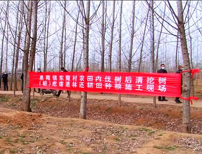 “退林还耕”全国开展，“农管”强制砍伐树木合法吗？来看3点