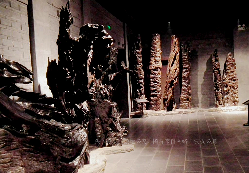 四川发现阴沉木,金丝楠阴沉木从地下挖出