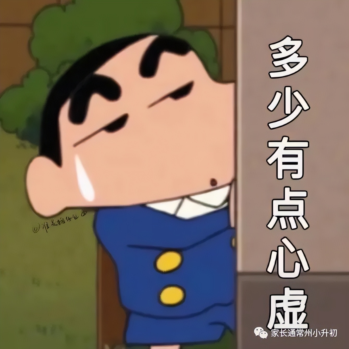 摇号没摇到怎么办,摇号没摇上的怎么办