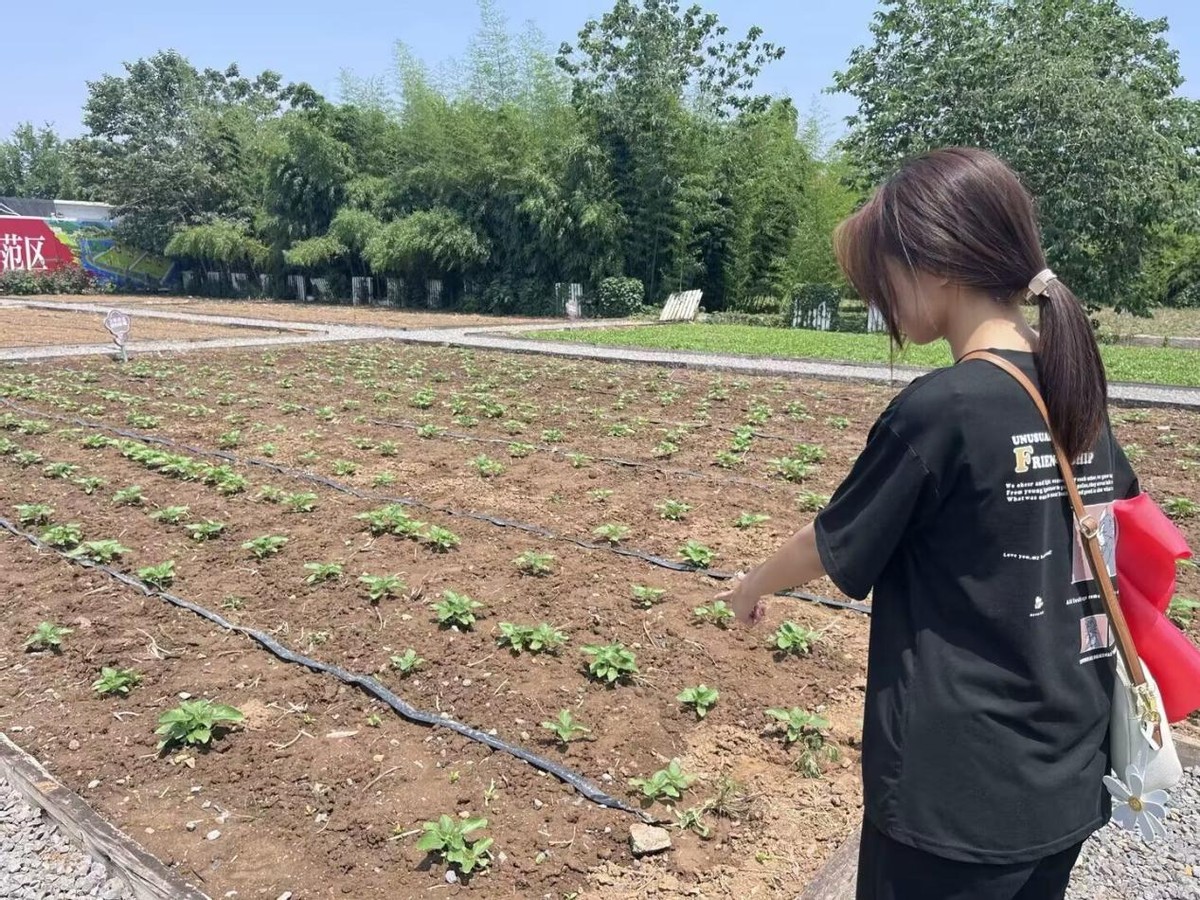 绿色农业种植业技术,绿色农业的发展方法