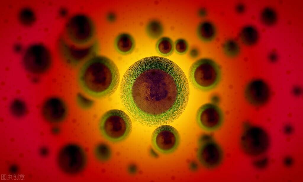 成分*党**必知——‘*干粉冻**’