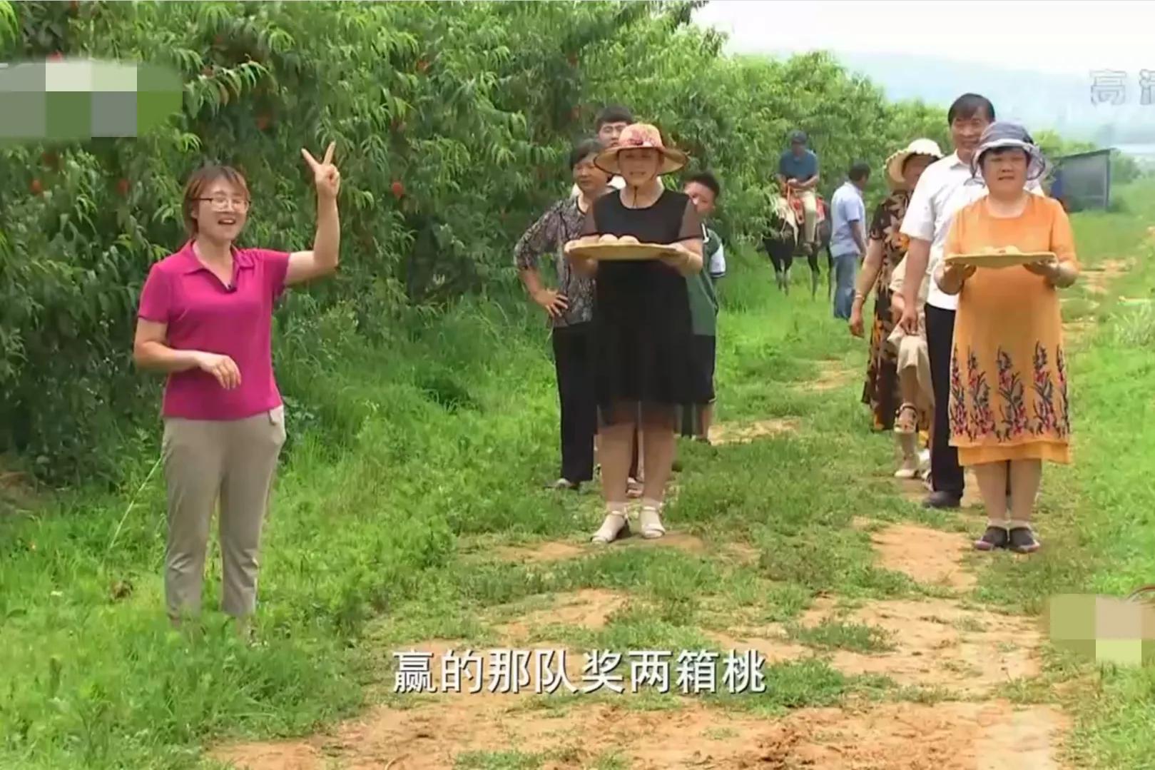 山东女孩承包5600亩地,女子承包500亩地种红薯被村民偷挖