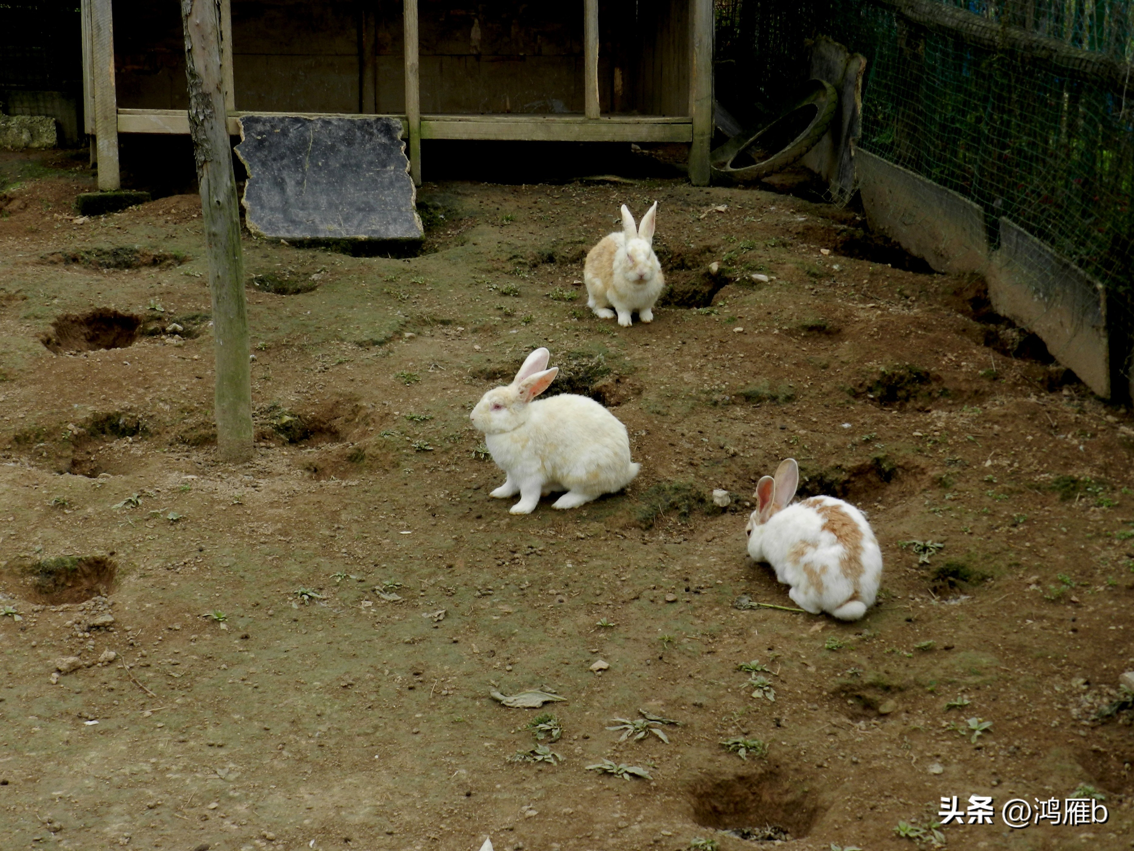 本溪温泉汤沟门票价格,本溪花溪沐枫雪温泉小镇