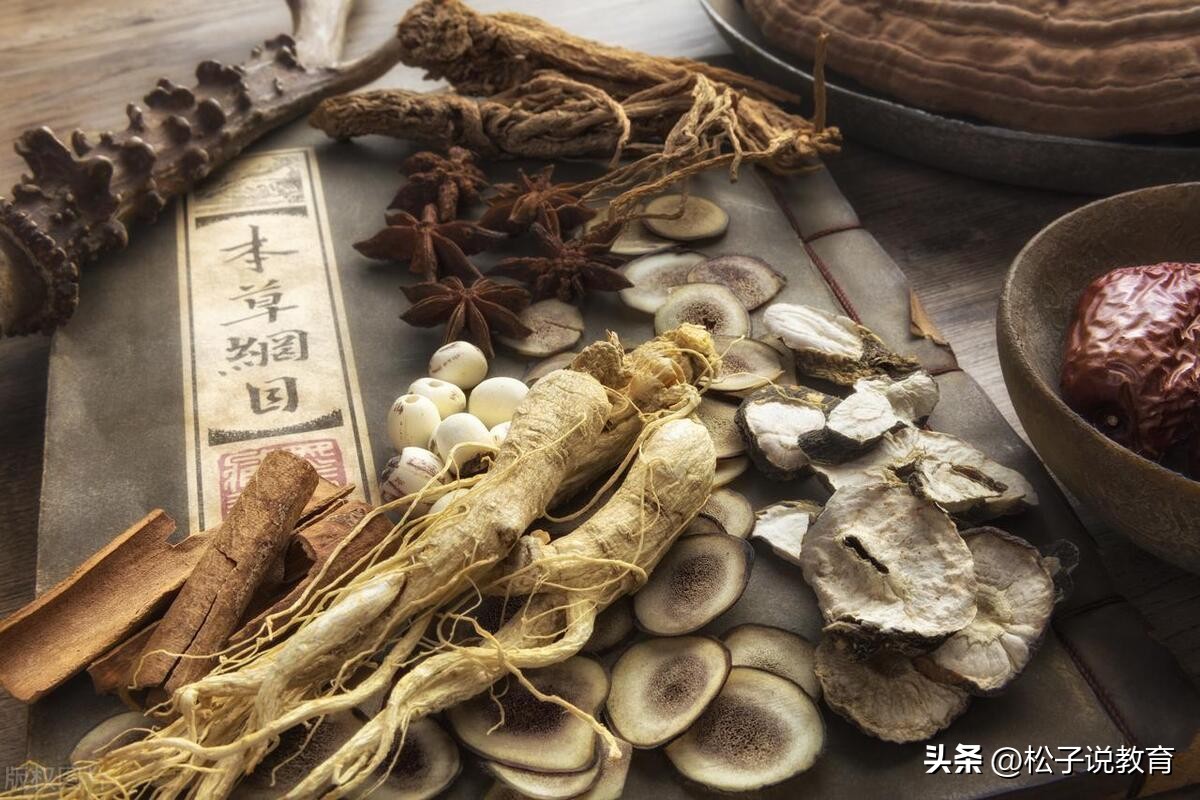 中国十大最好中医药大学,中国最强的几所中医药大学