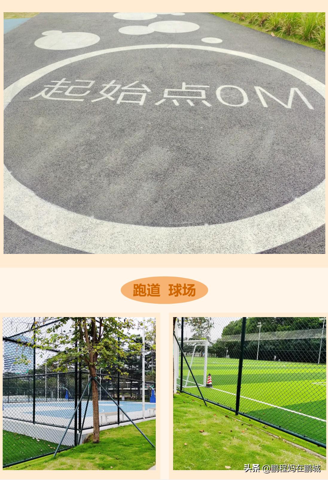 观澜最近翻新过的公园,龙华观澜中心公园