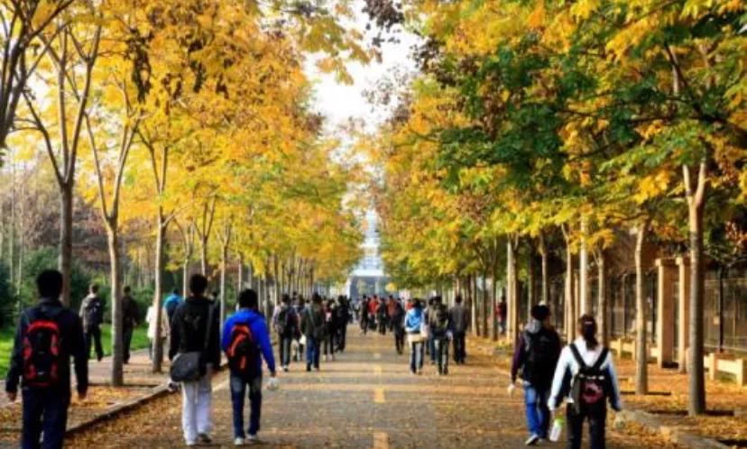 记录一下第一次上大学,第一次上大学的体会