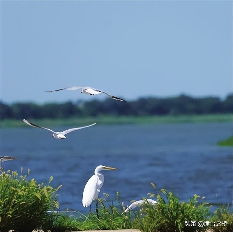 踔厉奋发向未来的文章,踔厉奋发开启高质量发展新征程