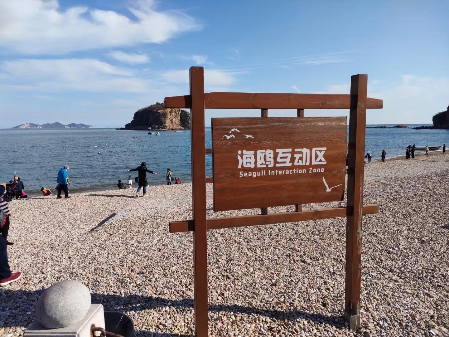 旅游怎么去棒棰岛,棒棰岛旅游攻略自驾游